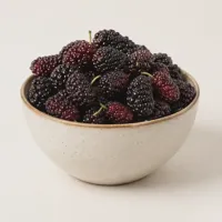 Harbor Mulberry