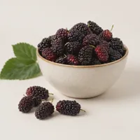 Harbor Mulberry