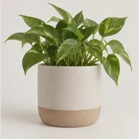 Ridge Plant Pot