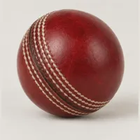 Willow Cricket Ball