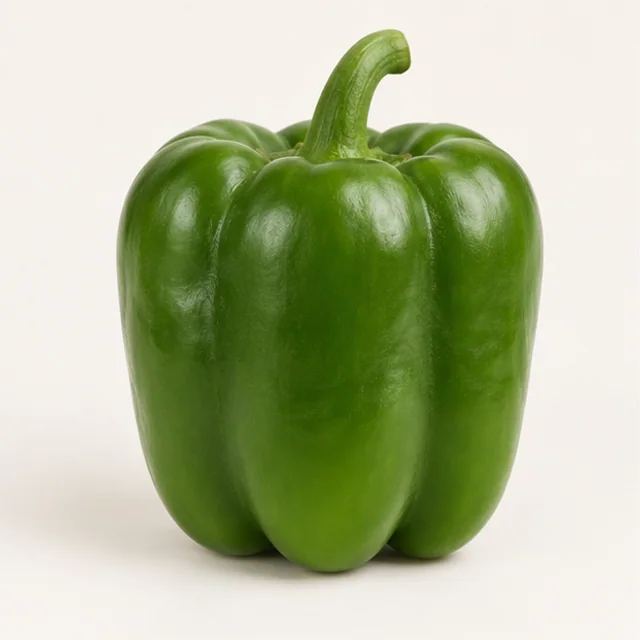 Harbor Green Bell Pepper — product overview