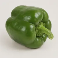 Harbor Green Bell Pepper