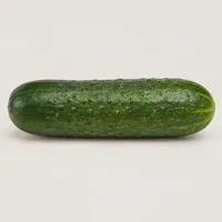 Willow Cucumber