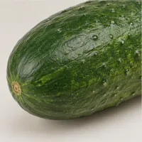 Willow Cucumber