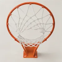 Solstice Basketball Rim